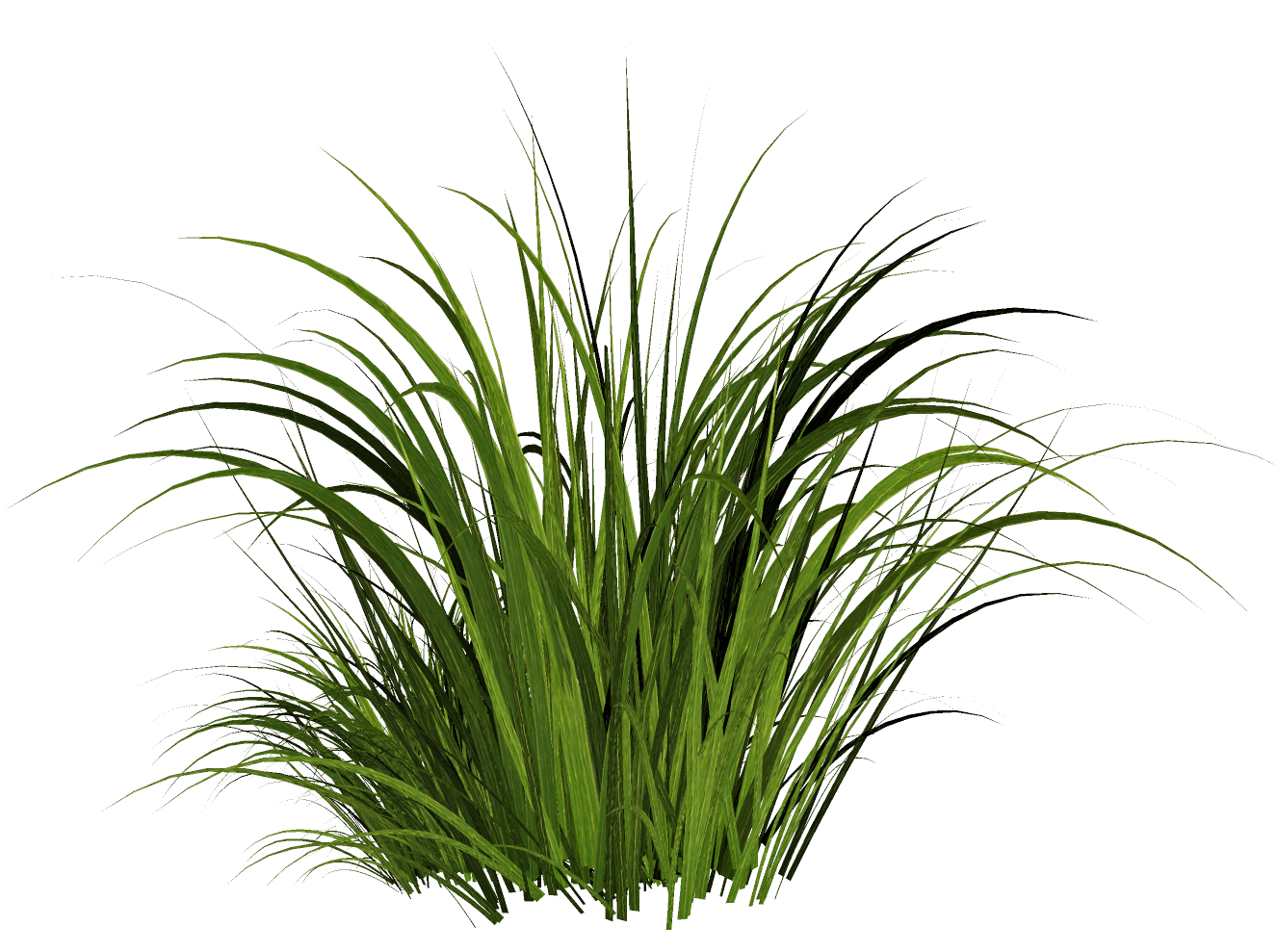 Solved: the material is grass. - Autodesk Community